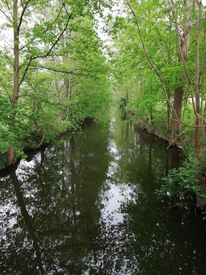 Am Waldrand Spreewald Burg (Spreewald) Exterior foto