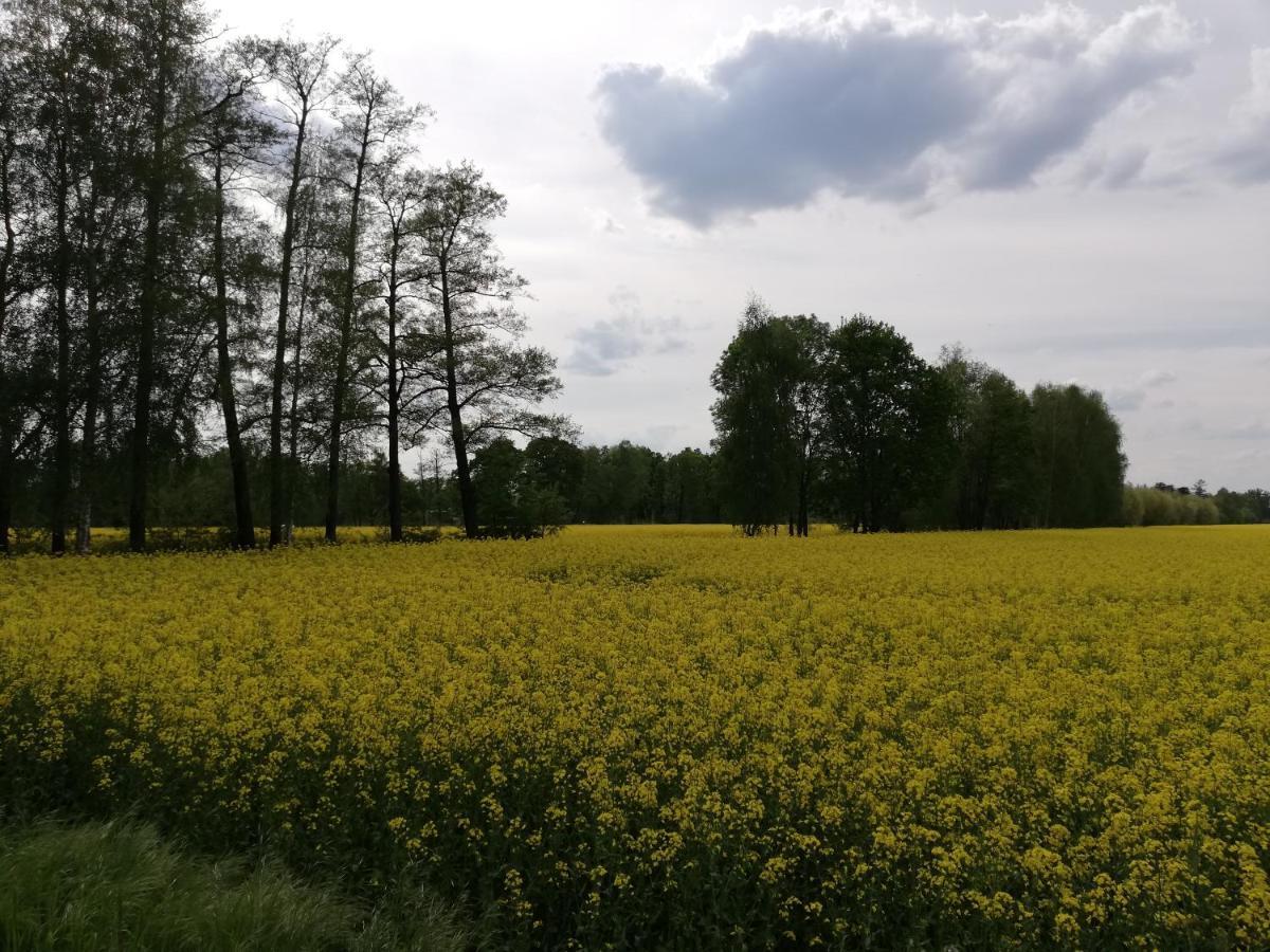 Am Waldrand Spreewald Burg (Spreewald) Exterior foto