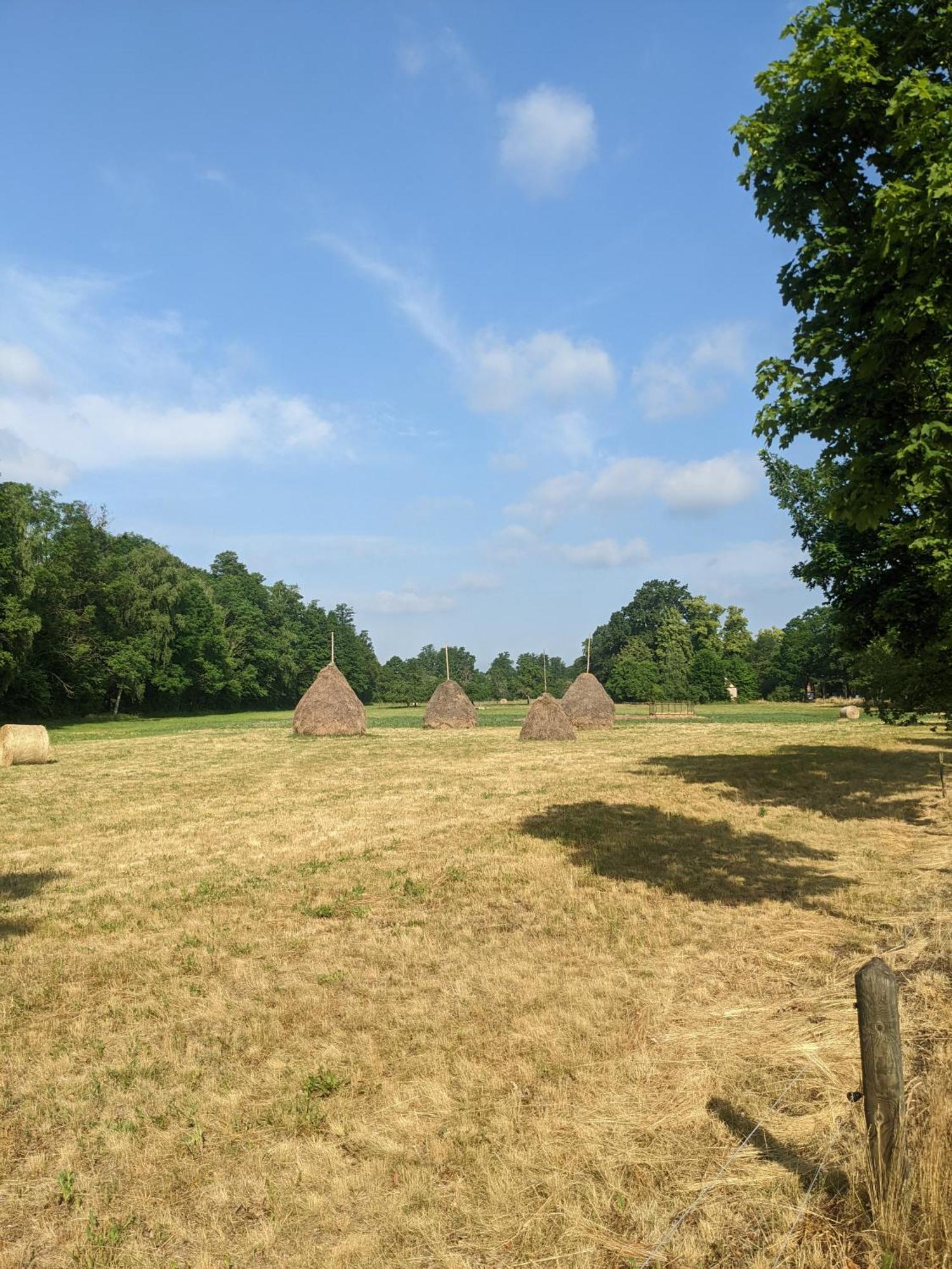 Am Waldrand Spreewald Burg (Spreewald) Exterior foto