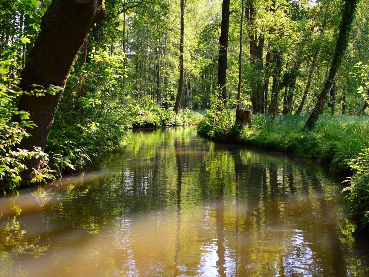 Am Waldrand Spreewald Burg (Spreewald) Exterior foto